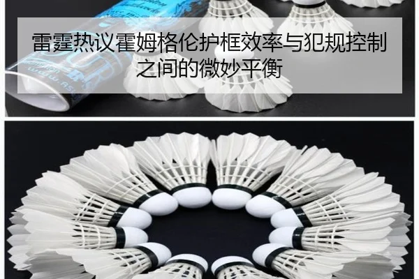 lei-ting-re-yi-huo-mu-ge-lun-hu-kuang-xiao-lv-yu-fan-gui-kong-zhi-zhi-jian-de-wei-miao-ping-heng-2-621.jpg